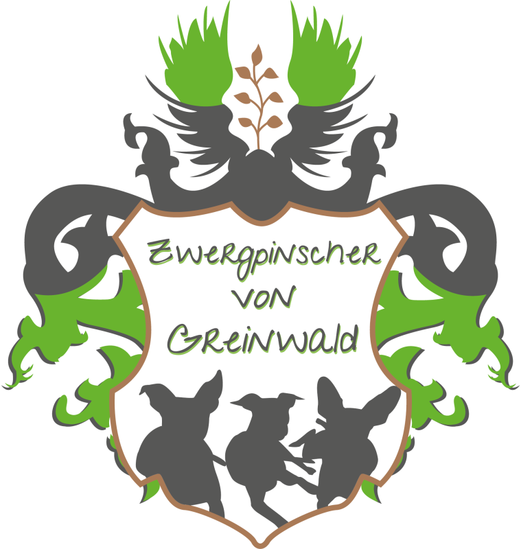 Zwergpinscher von Greinwald