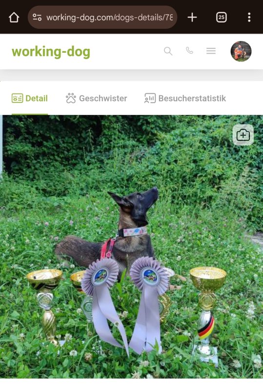 SoulguideDog's Aderyn Aurora